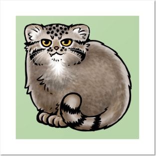 Pallas's Cat / Manul Cat Posters and Art